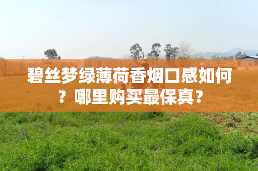 碧丝梦绿薄荷香烟口感如何？哪里购买最保真？
